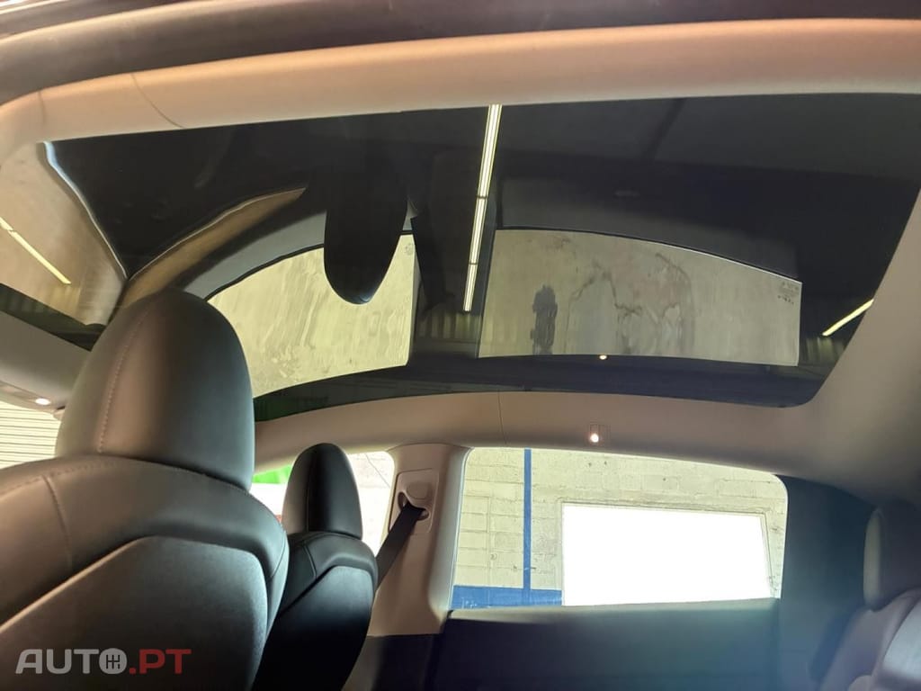 Tesla Model Y Standard RWD