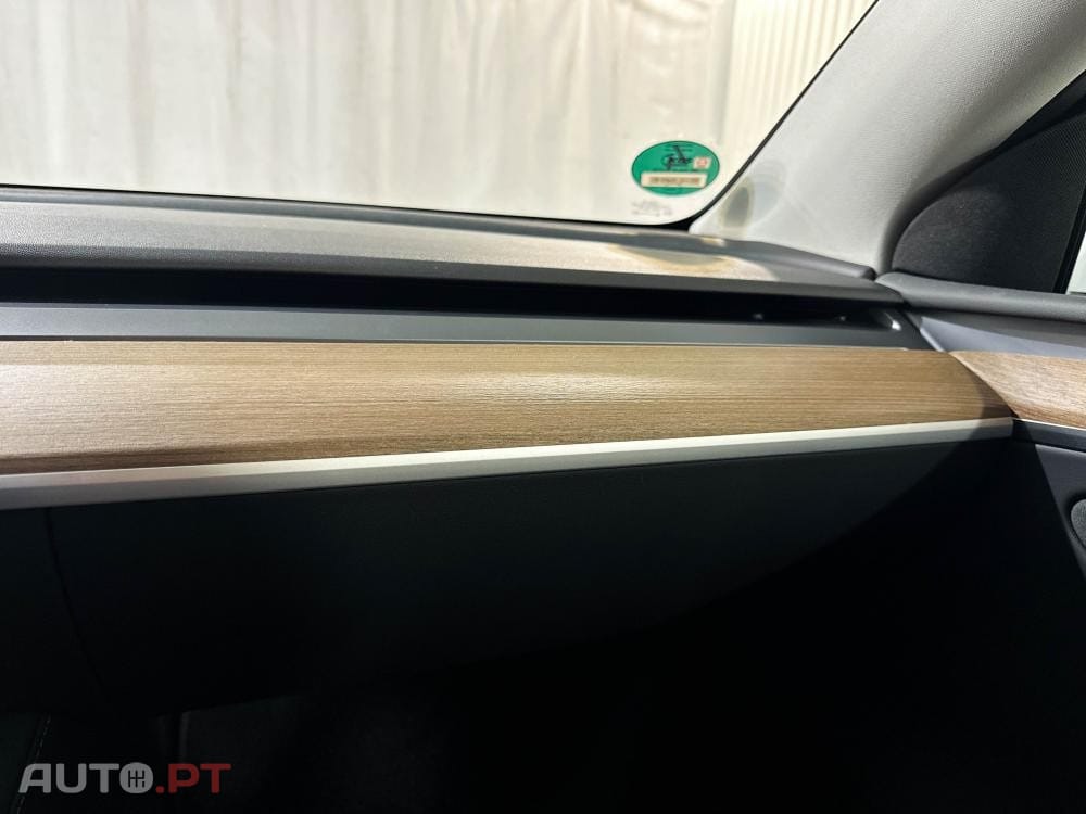 Tesla Model Y Performance Dual Motor AWD