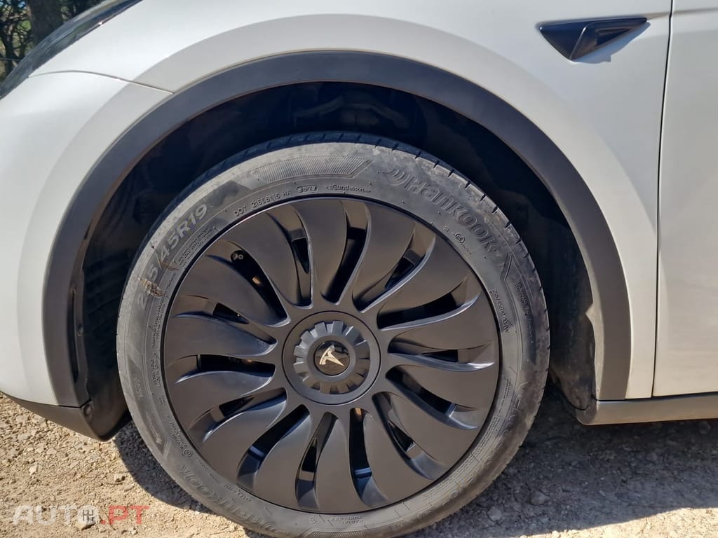Tesla Model Y RWD