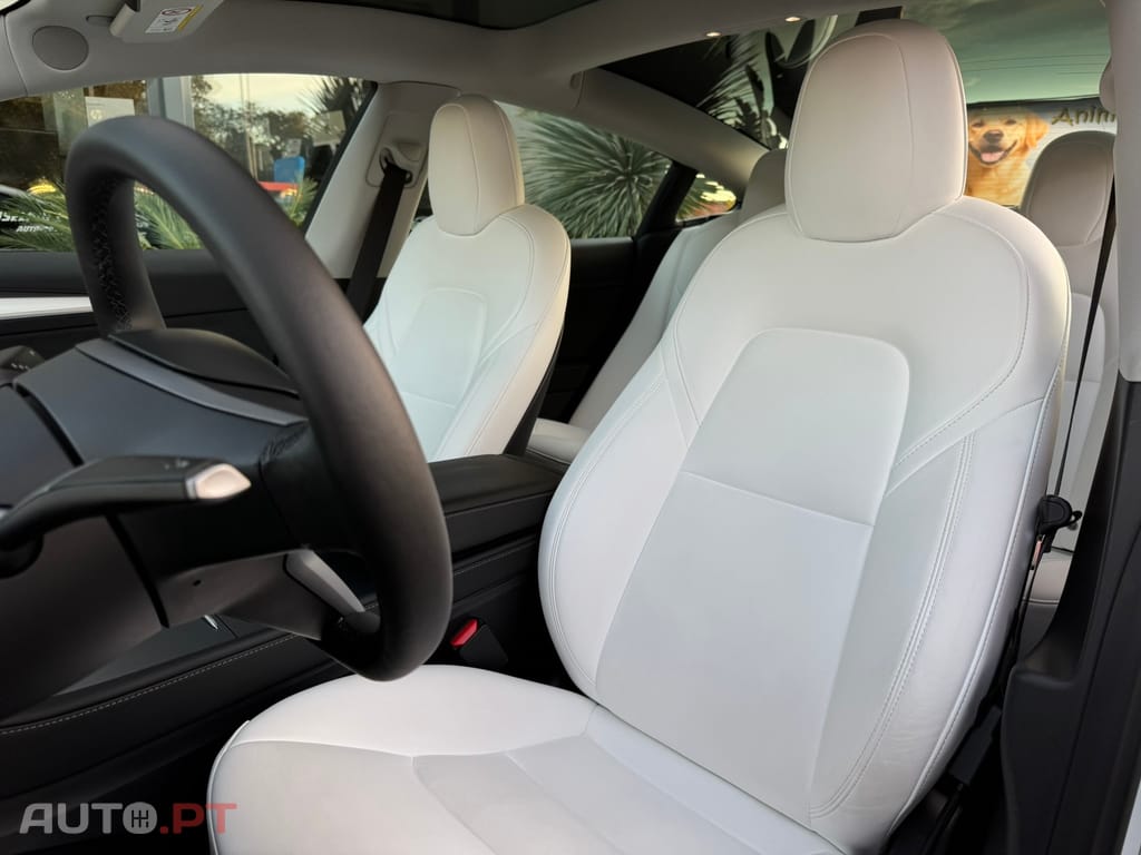 Tesla Model 3 Long Range Tração Integral