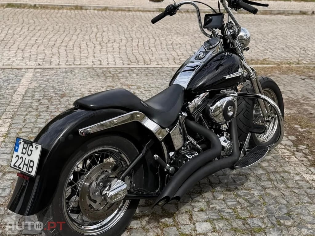 Harley Davidson Heritage HERITAGE CLASSIC SPRINGER