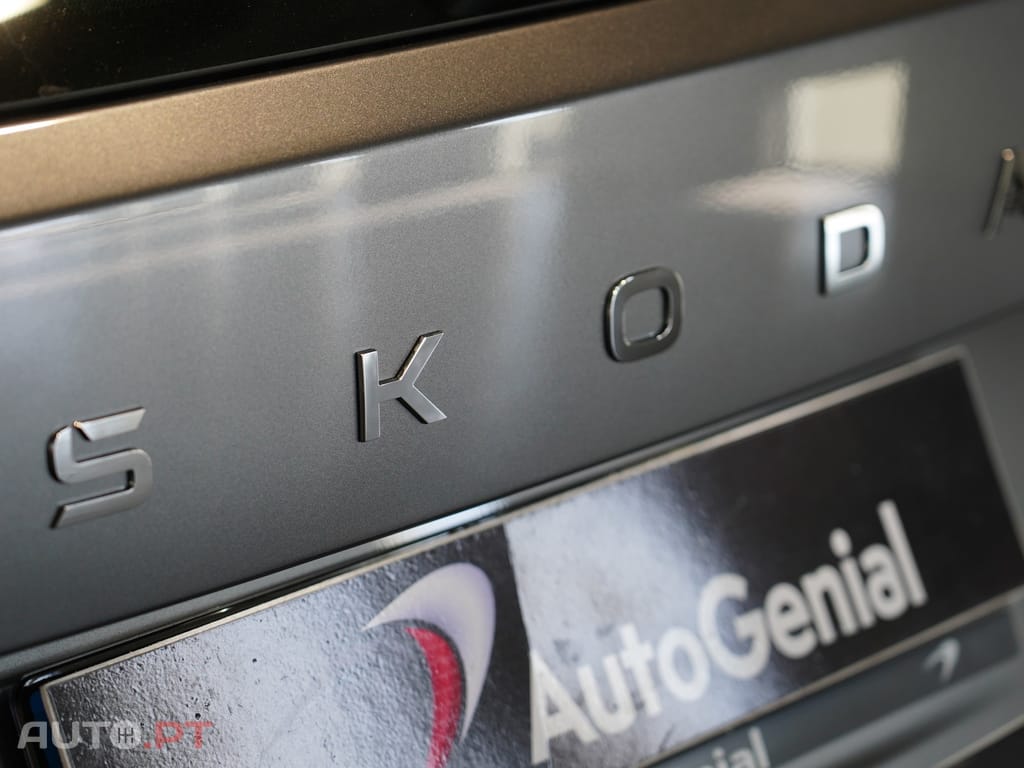Skoda Kamiq 1.0 TSI Ambition DSG