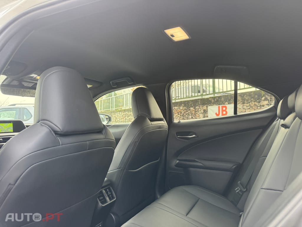 Lexus UX Special Edition (LCA)