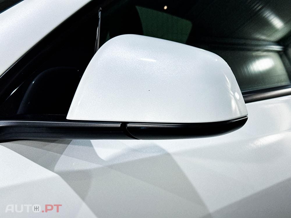 Tesla Model Y Standard