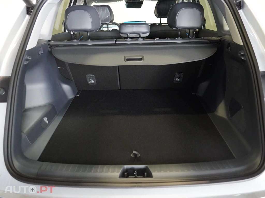 Geely Starray EM-i Max Plus