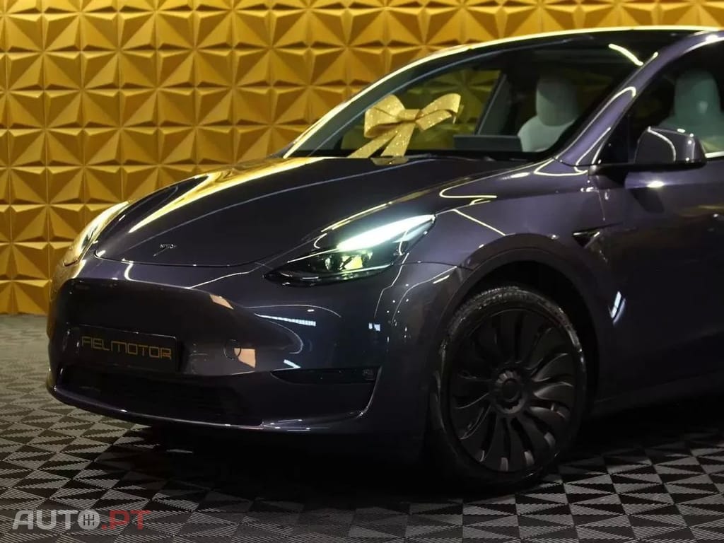Tesla Model Y Long Range Tração Integral