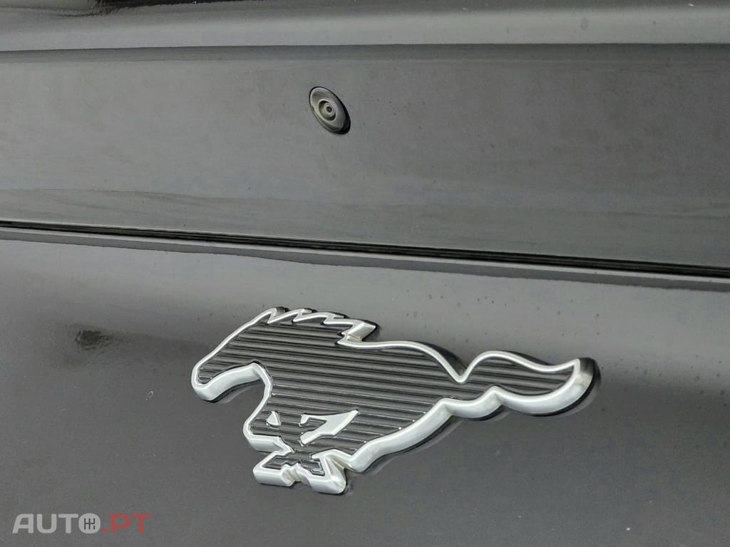 Ford Mustang Mach-E Standard