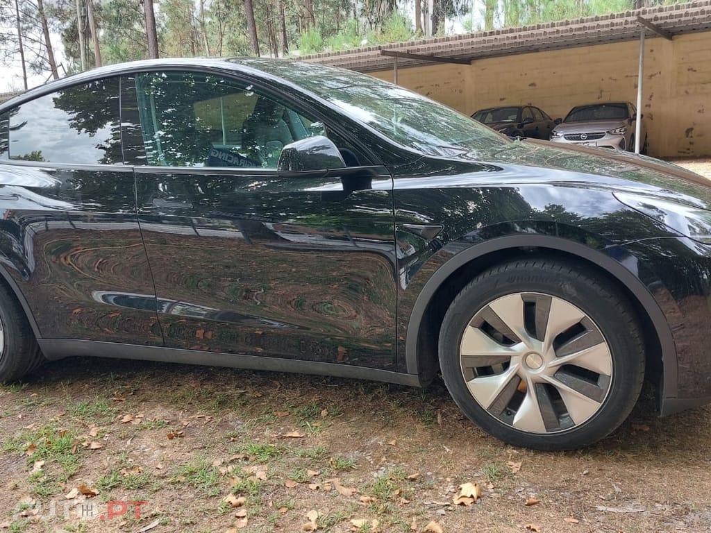 Tesla Model Y Standard