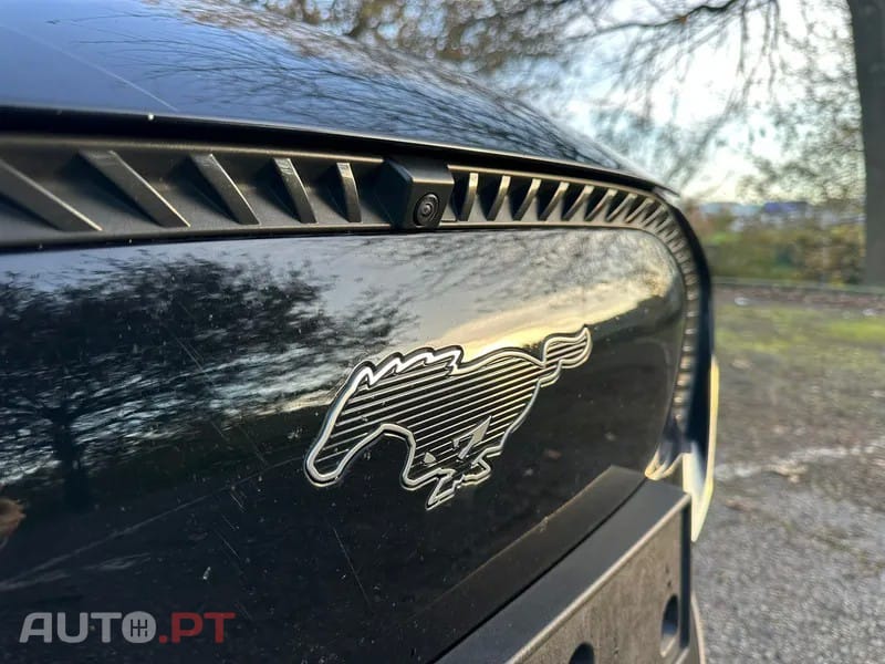 Ford Mustang Mach-E Standard