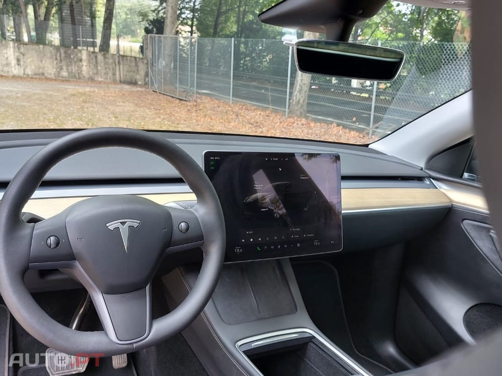 Tesla Model Y Standard