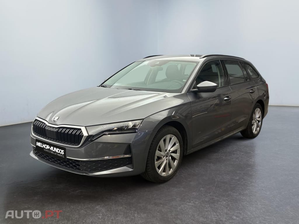 Skoda Octavia Break 2.0 TDI Selection DSG
