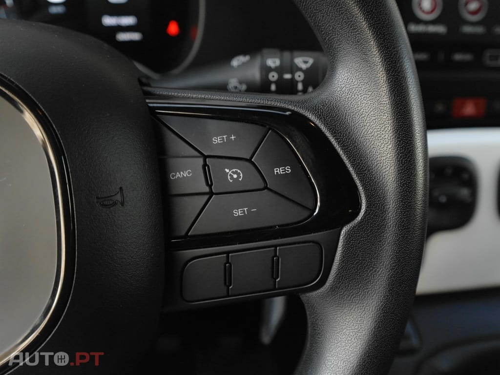 Fiat Panda Pandina 1.0 Hybrid — fotografia 30