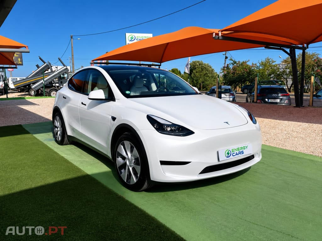 Tesla Model Y Standard