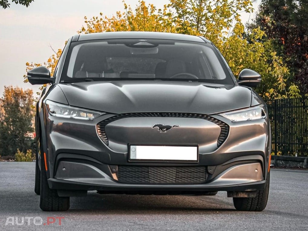 Ford Mustang Mach-E Standard