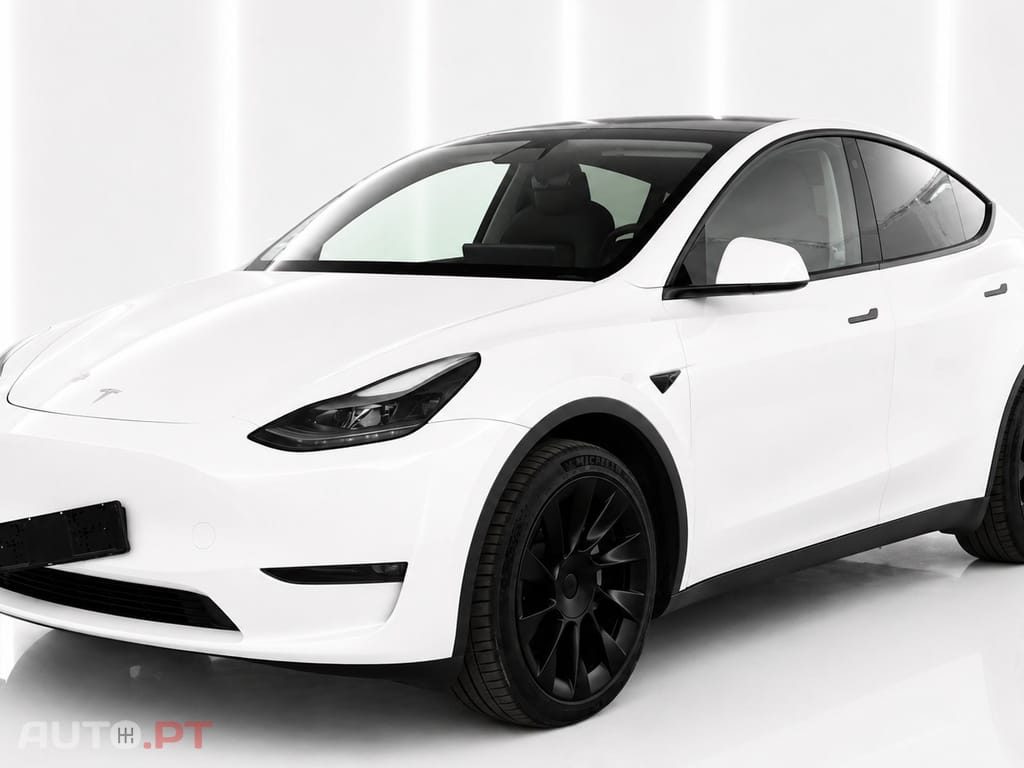 Tesla Model Y Long Range Tração Integral