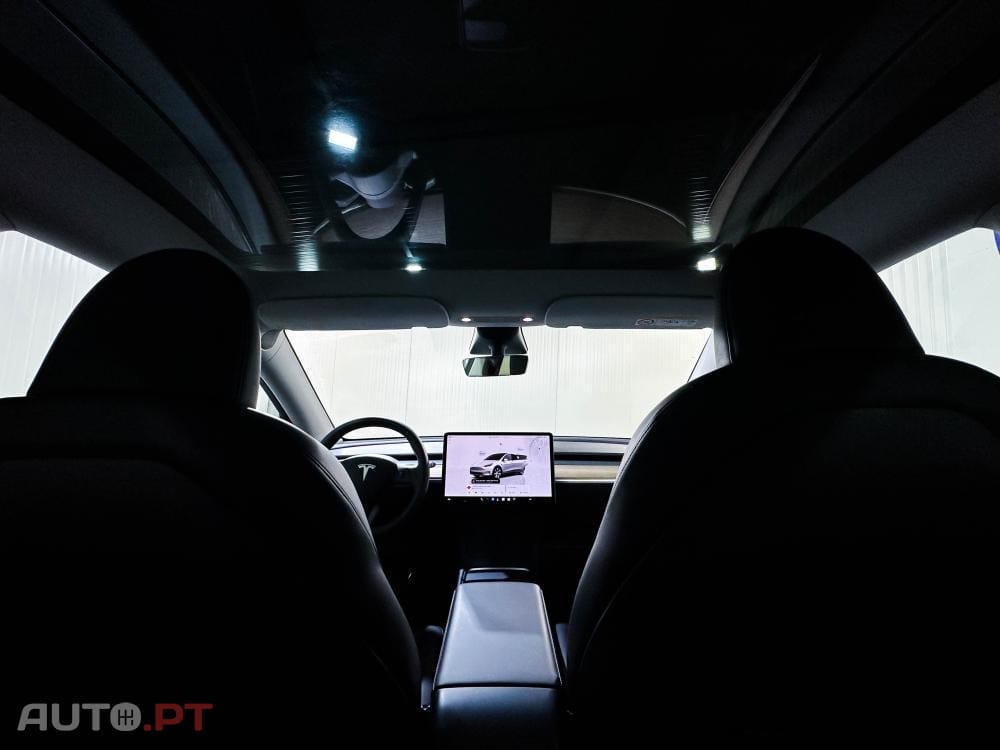 Tesla Model Y Standard