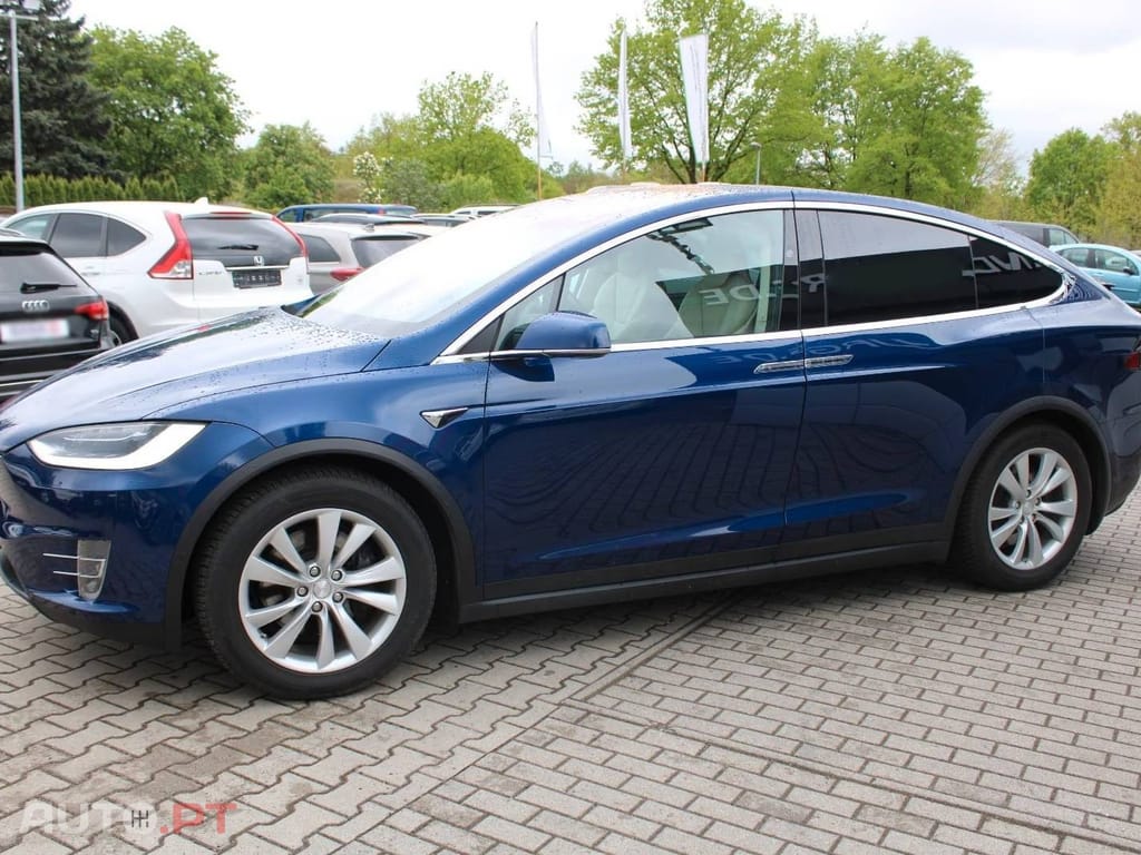 Tesla Model X Dual