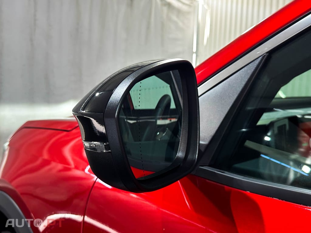 Renault Scénic 220 Long Range Technno