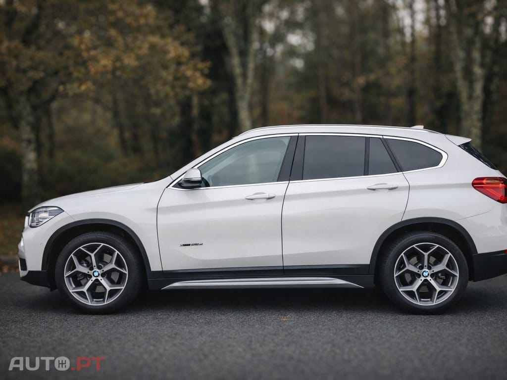 BMW X1 xDrive25d Aut. Sport Line