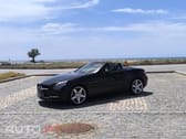 Mercedes-Benz SLK 250 (BlueEFFICIENCY) 7G-TRONIC