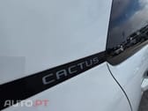 Citroen C4 Cactus 1.2 PureTech Shine Pack