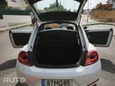 Volkswagen New Beetle Beetle
