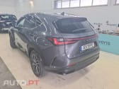 Lexus NX Executive
