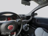 Fiat Panda  1.2 Easy S&S LOUNGE