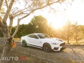 Ford Mustang 5.0 Ti-VCT V8 Aut. MACH1