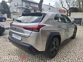 Lexus UX Business