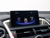 Lexus NX Executive