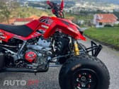 Articcat Outro Modelo DVX 400