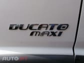 Fiat Ducato Maxi 2.3 M-Jet  Auto 7L C/Báscula