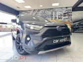 Toyota RAV4 HDF Square Collection