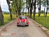 MINI 1000 Classic