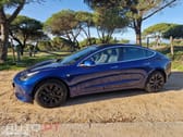Tesla Model 3 AWD Dual Motor Performance