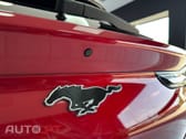 Ford Mustang RWD