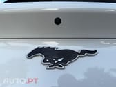 Ford Mustang Mach-E Standard