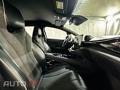 BYD Dolphin 60.4 kWh Design