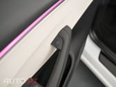 Tesla Model 3 Tração Traseira Premium