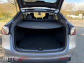 Tesla Model Y Performance Dual Motor AWD