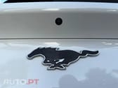 Ford Mustang Mach-E Standard