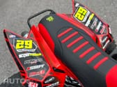 Articcat Outro Modelo DVX 400
