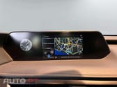 Lexus UX Business