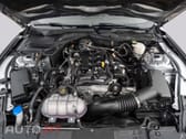 Ford Mustang 2,3 Gt350 SPUR