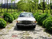 Mercedes-Benz 300 SD