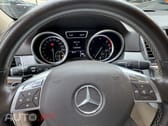 Mercedes-Benz ML 250 BlueTEC