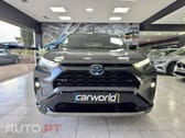 Toyota RAV4 HDF Square Collection