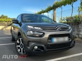 Citroen C4 Cactus 1.6 BlueHDI Shine 100cv