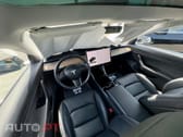 Tesla Model 3 Performance